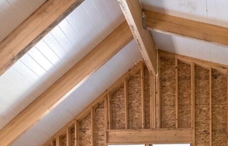 unfinished interior - vaulted ceiling with framing